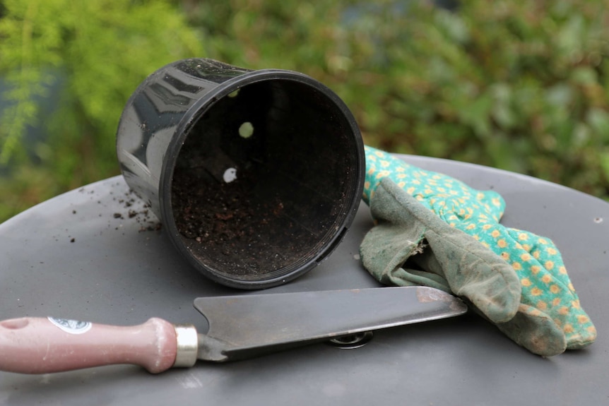 A small black plastic pot sit on a table next to a spade and green and yellow fabric gloves, home gardening utensils.