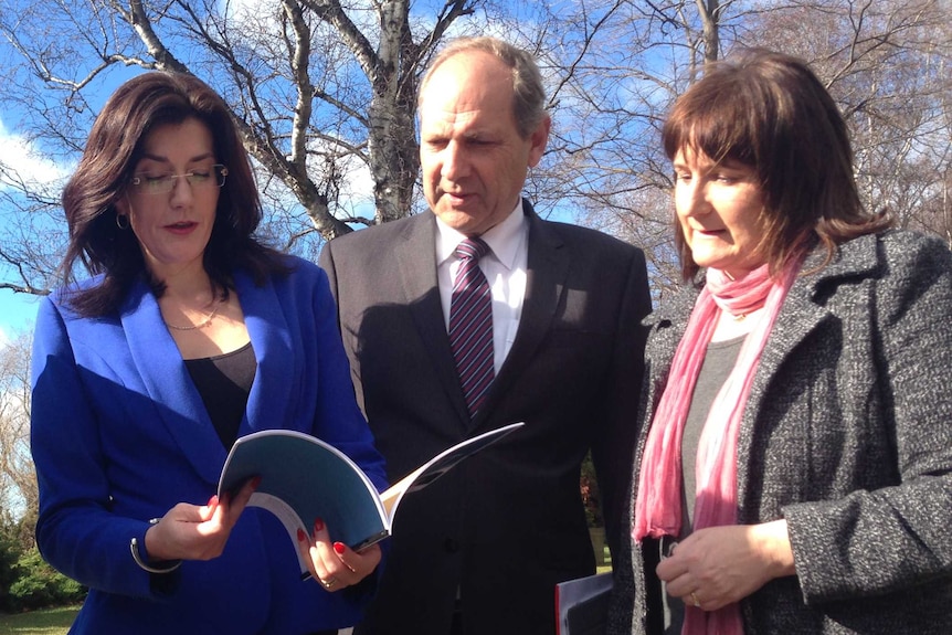 Tasmanian Domestic Violence plan under way