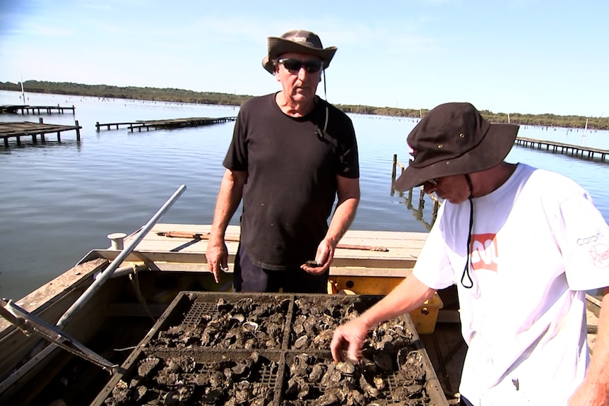 two men standing on a dock handling a bucket of oysters