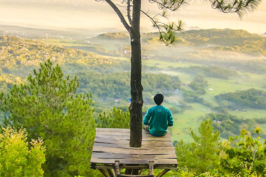 Boy sitting in a tree contemplates the view of the green valleys below