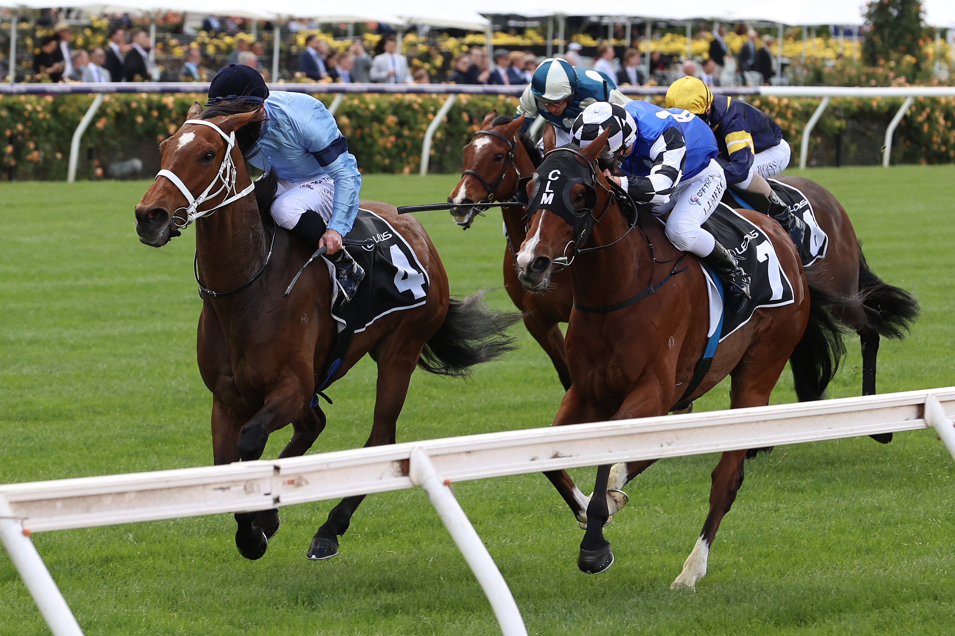 Melbourne Cup field and barrier draw Hitotsu wins the…