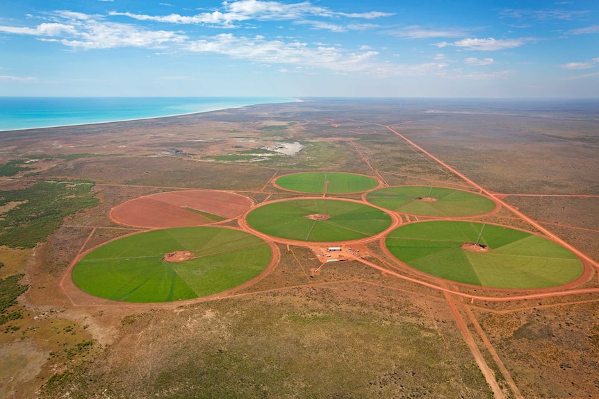 An aerial view of green paddocks surrounded by red dirt below a blue sky.