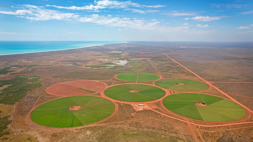 Singaporean businessman Bruce Cheung has already invested more than $20 million in 18 centre-pivot irrigators at Pardoo Station.