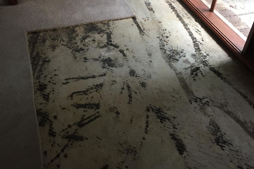 Flood-damaged carpet in Creswick house in La Victoria