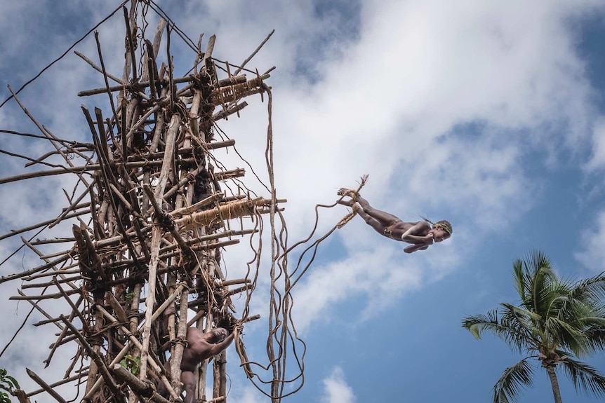 A boy leaps from a structure as part of a Nagol initiation ceremony.