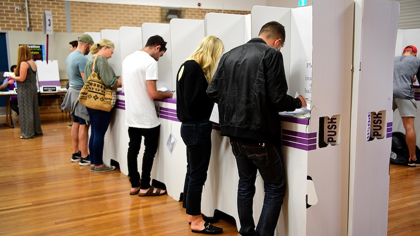 people stand at polling boxes as they cast their votes