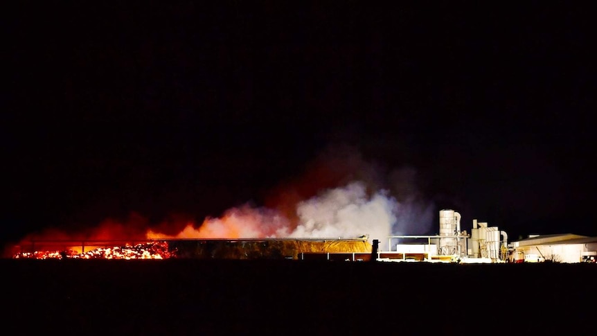 A fire at night at an almond processing facility.