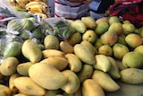 Competing mangoes