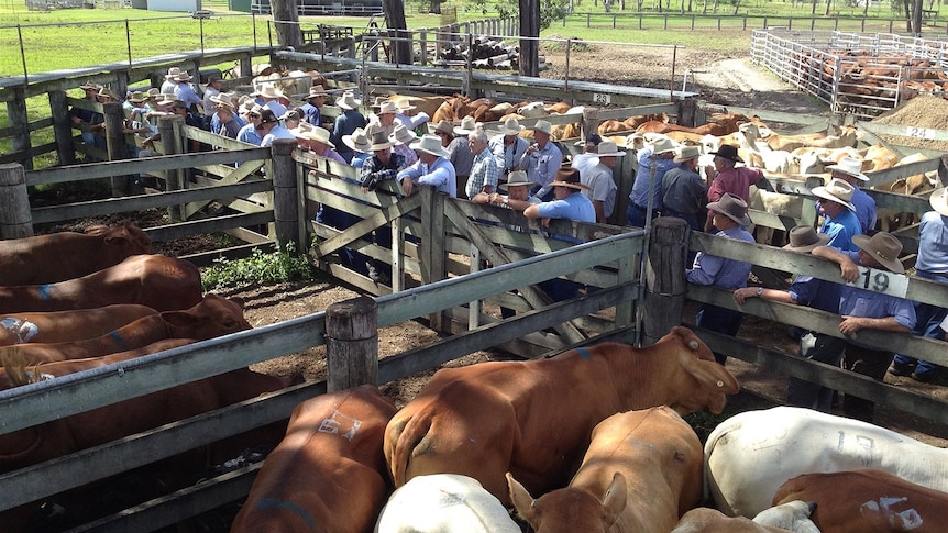 Biggenden sale - crowd