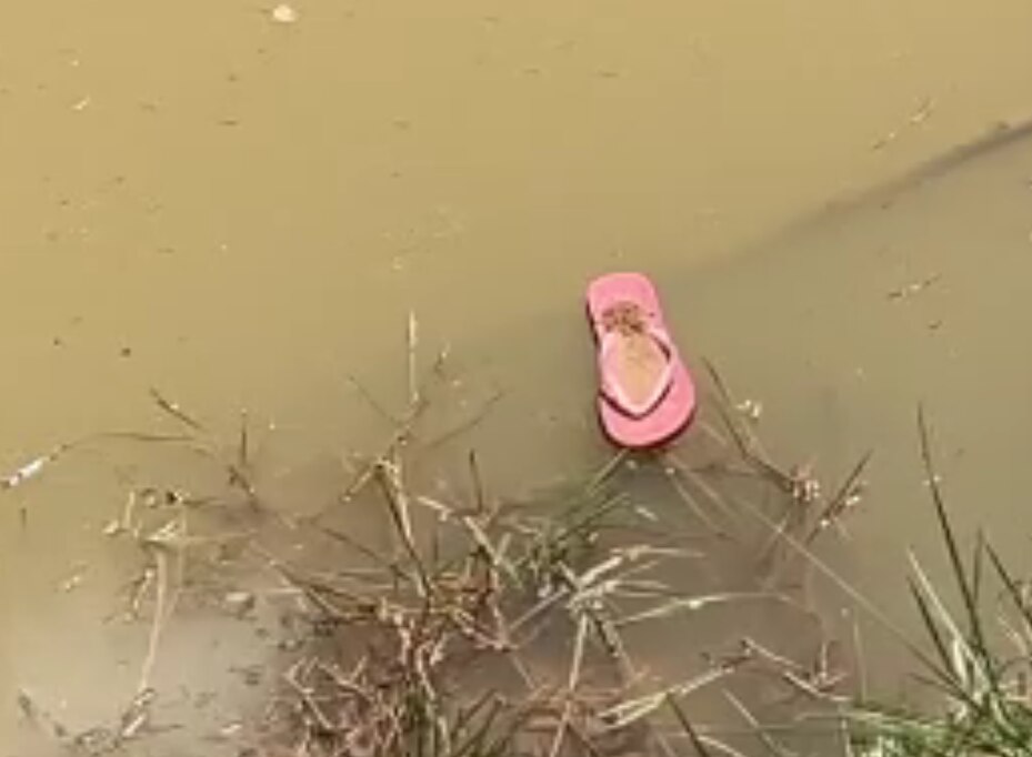 A pink thong spotted floating in the dam.