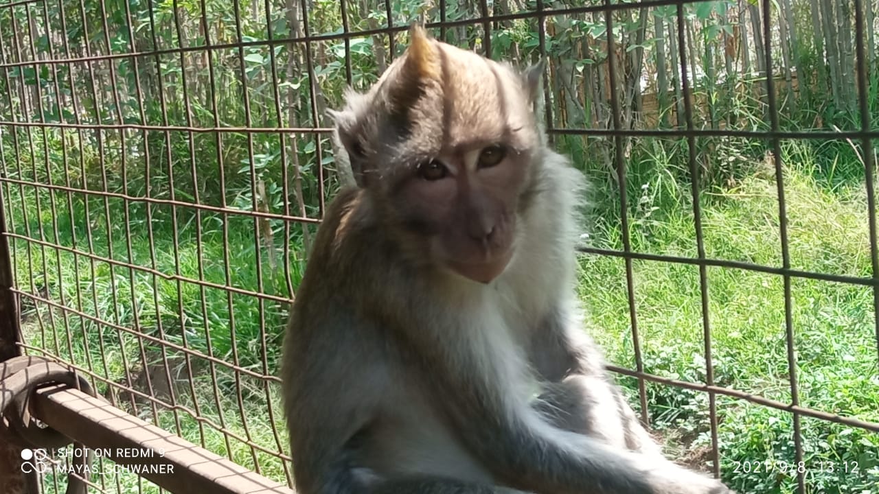 WhatsApp Image 2021-09-08 at 5.08.53 PM