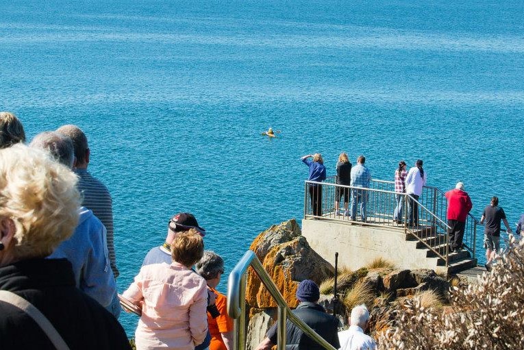 A crowd gathers to catch a glimpse and a few pics.