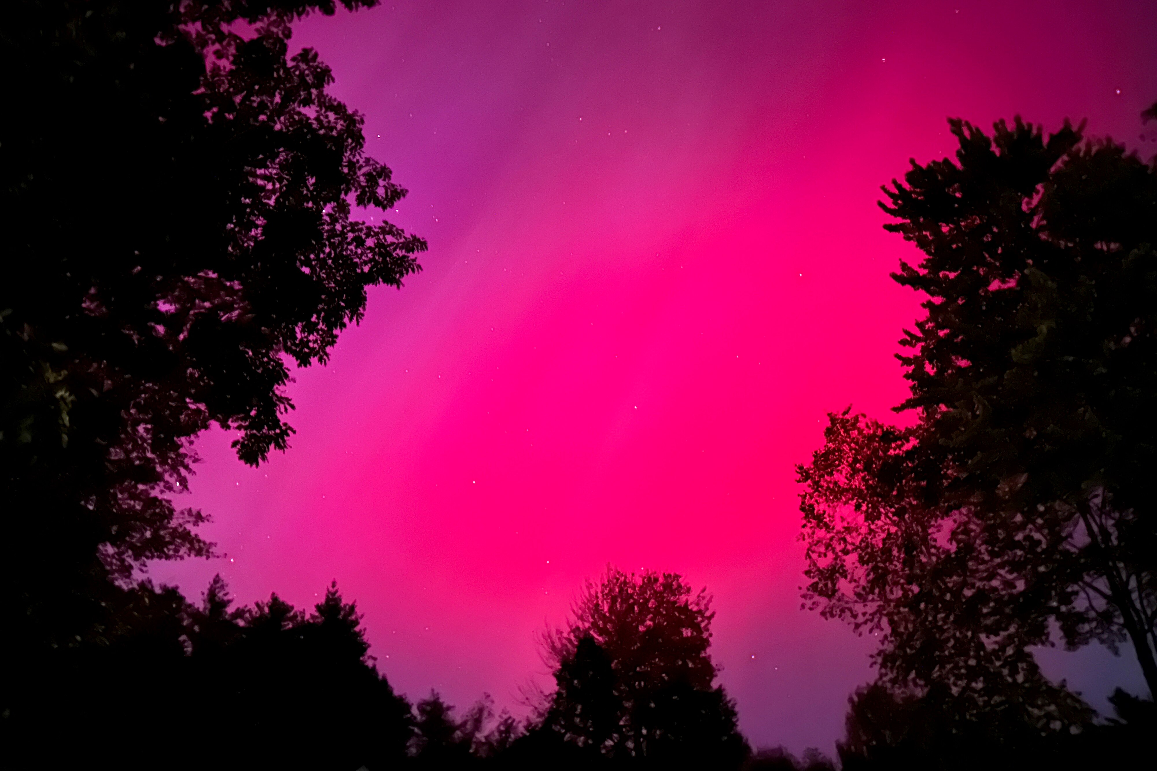 A pink aurora borealis in the night sky with trees in the background