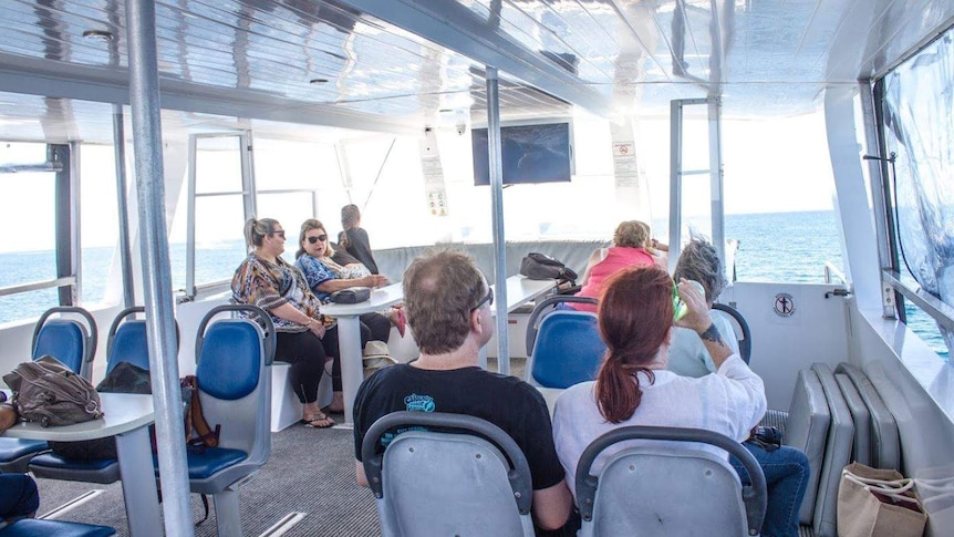 passengers sitting on a whale watching vessel