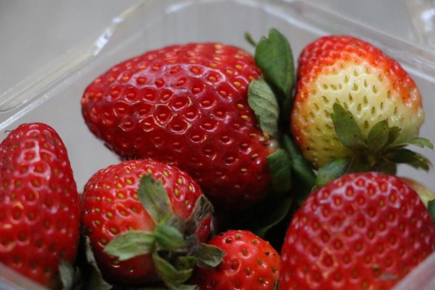 A punnet of strawberries.