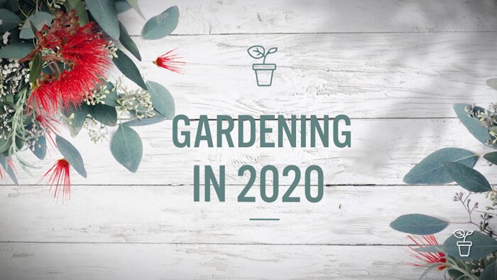 Graphic with flowers and leaves with text "Gardening in 2020"