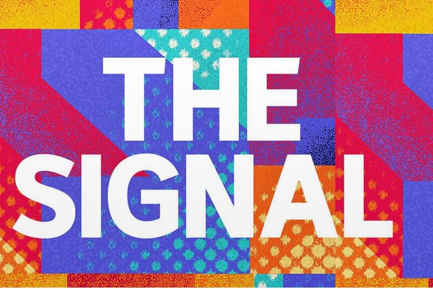 A graphic with the words "The Signal"