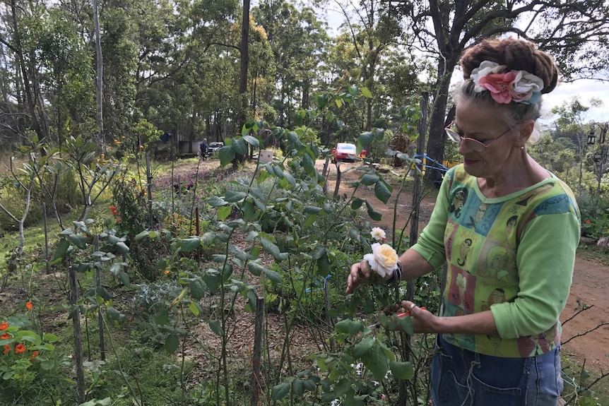 Caz Owens looks at a rose bush with a wide shot of the garden beds behind her.
