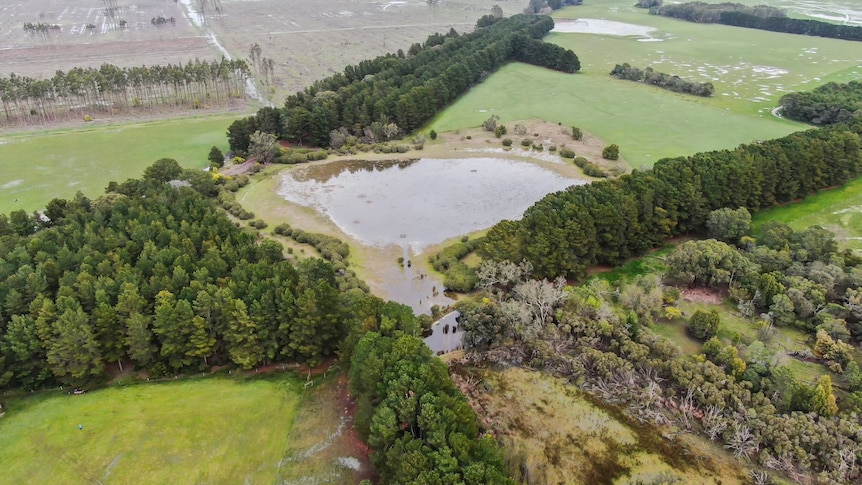 Photo of a farm with trees and wetland.