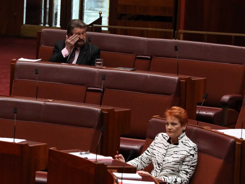 Pauline Hanson - Figure 2