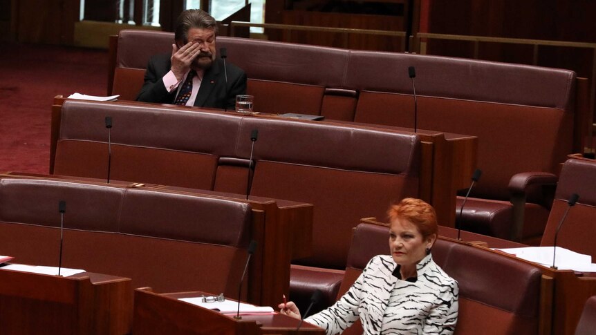 Derryn Hinch wipes his eyes while Pauline Hanson stares directly ahead.