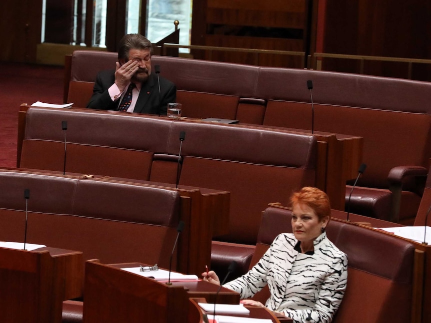 Derryn Hinch wipes his eyes while Pauline Hanson stares directly ahead.