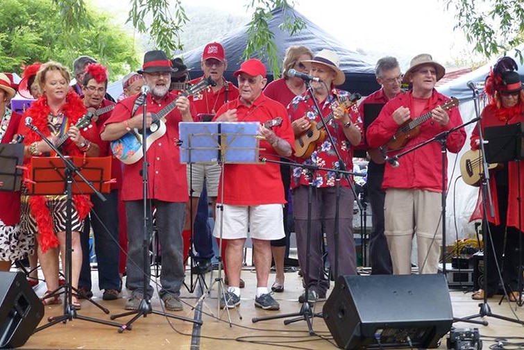 Hobart Ukulele Group performing at an event