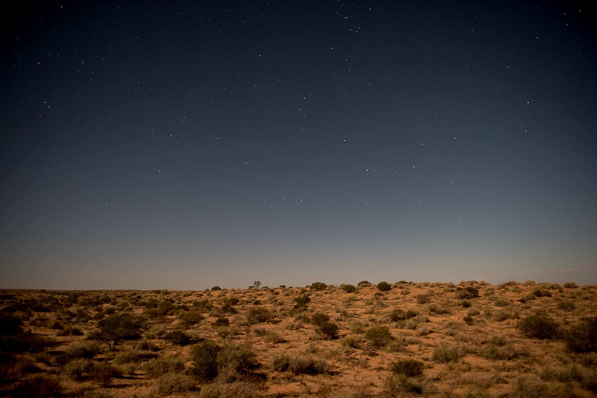 The  Kalamurina Australian Wildlife Conservancy at night.