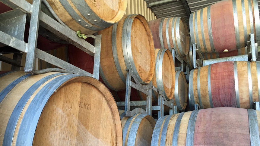 Wine barrels stacked up in a shed.