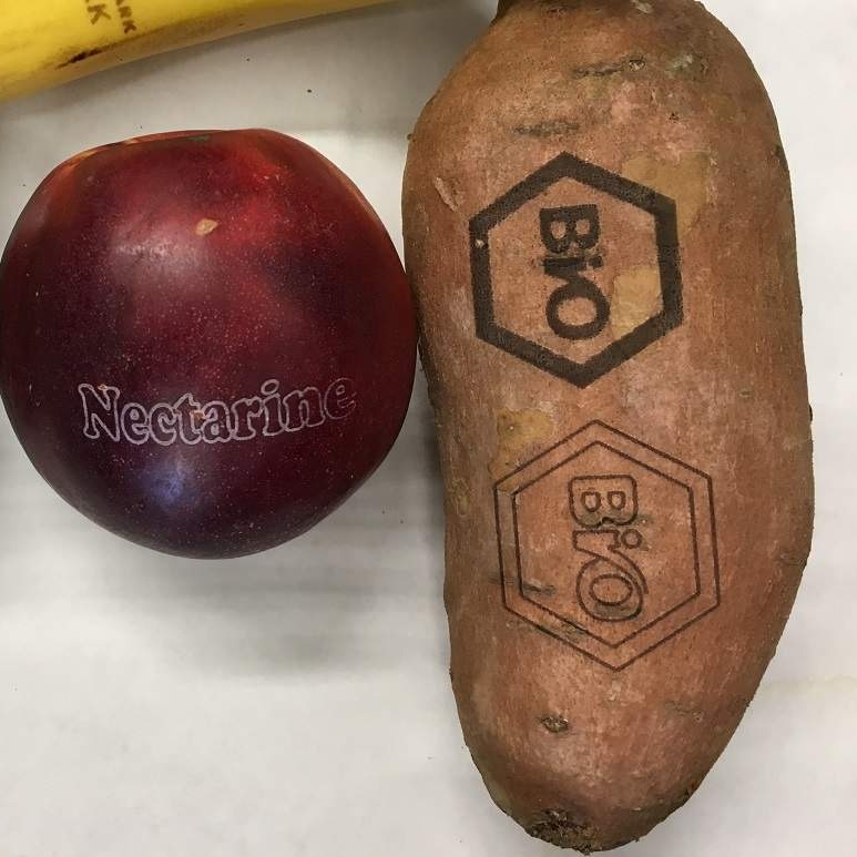 A kiwi fruit, banana, nectarine and sweet potato with laser logo branding