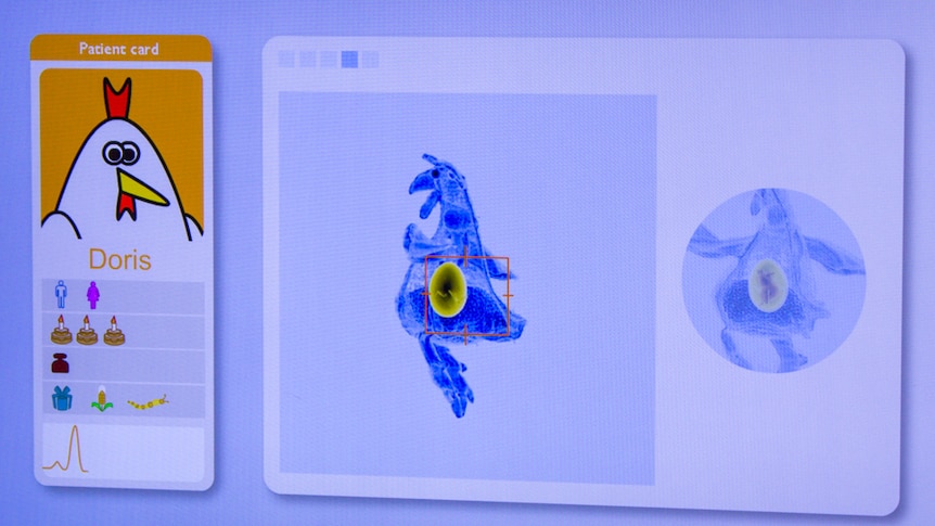 A screen showing a mock MRI scan of a cartoon chicken.