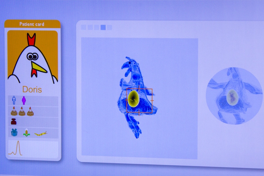 A screen showing a mock MRI scan of a cartoon chicken.