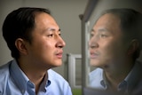 He Jiankui stares at a reflection of himself in a computer screen