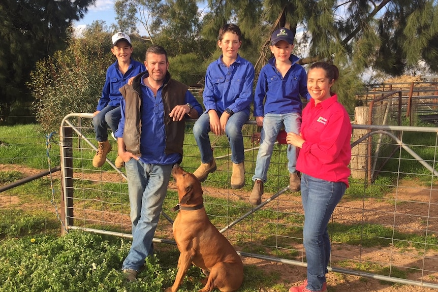 Man and woman leaning on a gate, three boys sitting on the gate and a dog.