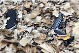 Two guns in dried leaves in Fawkner Park.