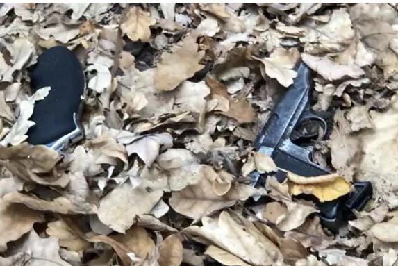 Two guns in dried leaves in Fawkner Park.