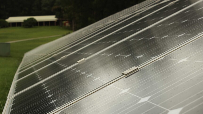 Solar panels on mushroom farm