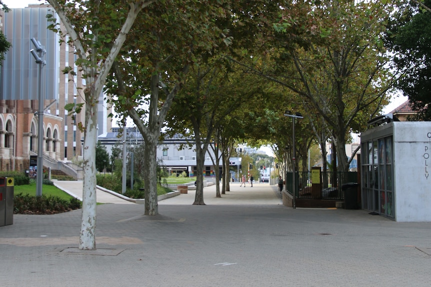 The Perth Cultural Centre looking towards the art gallery