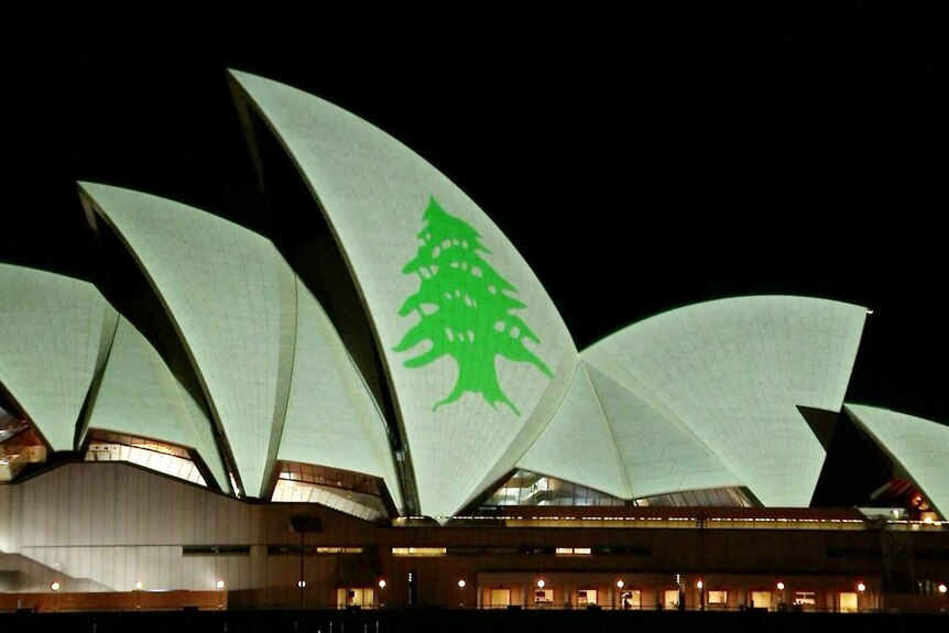 The Sydney Opera House at night with a green branch shining on it