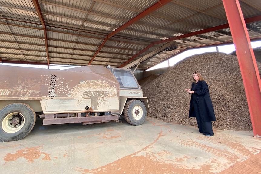 A woman stands in front of a huge pile of almonds.