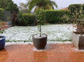 hail covers a grassy backyard, like a dusting of snow, and fills potplants