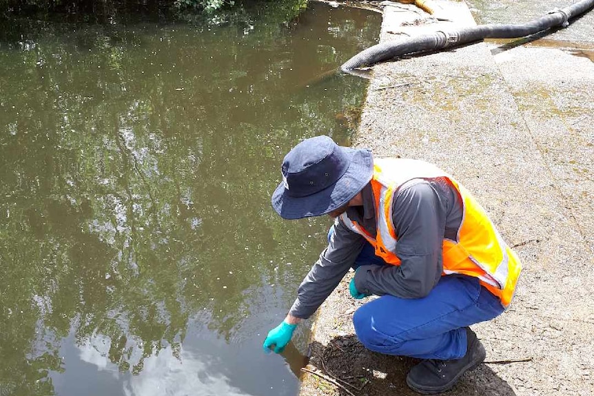 Officer inspects Parramatta River