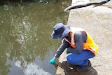Officer inspects Parramatta River