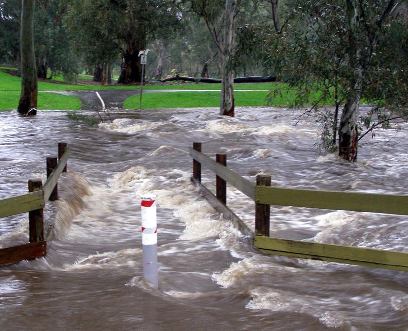 Blackouts continue as SA clears storm damage - ABC News
