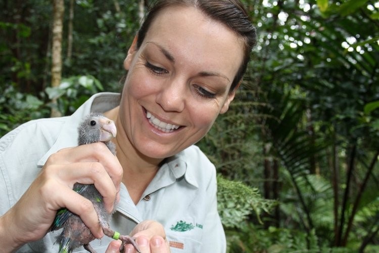 A woman holding a small parrot with a foot tag