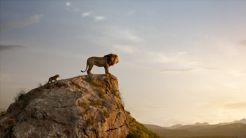 Colour still of animated lion Mufasa and cub Simba atop rock and looking towards the horizon in 2019 film The Lion King.