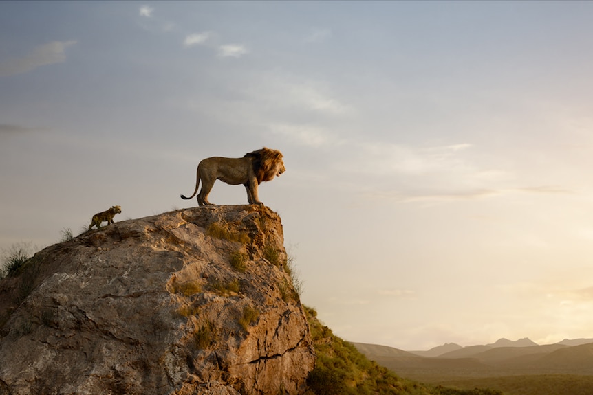 Colour still of animated lion Mufasa and cub Simba atop rock and looking towards the horizon in 2019 film The Lion King.