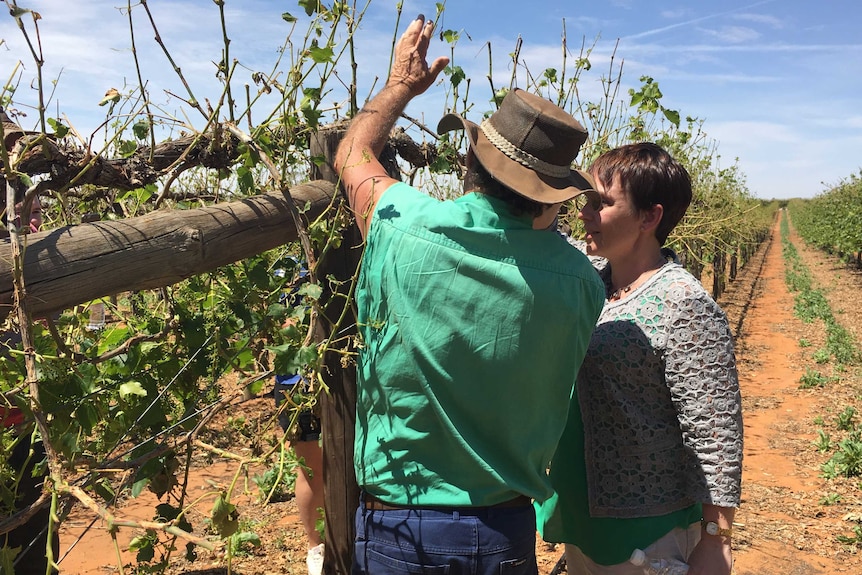 Grower John Hunt and Minister Jaala Pulford.