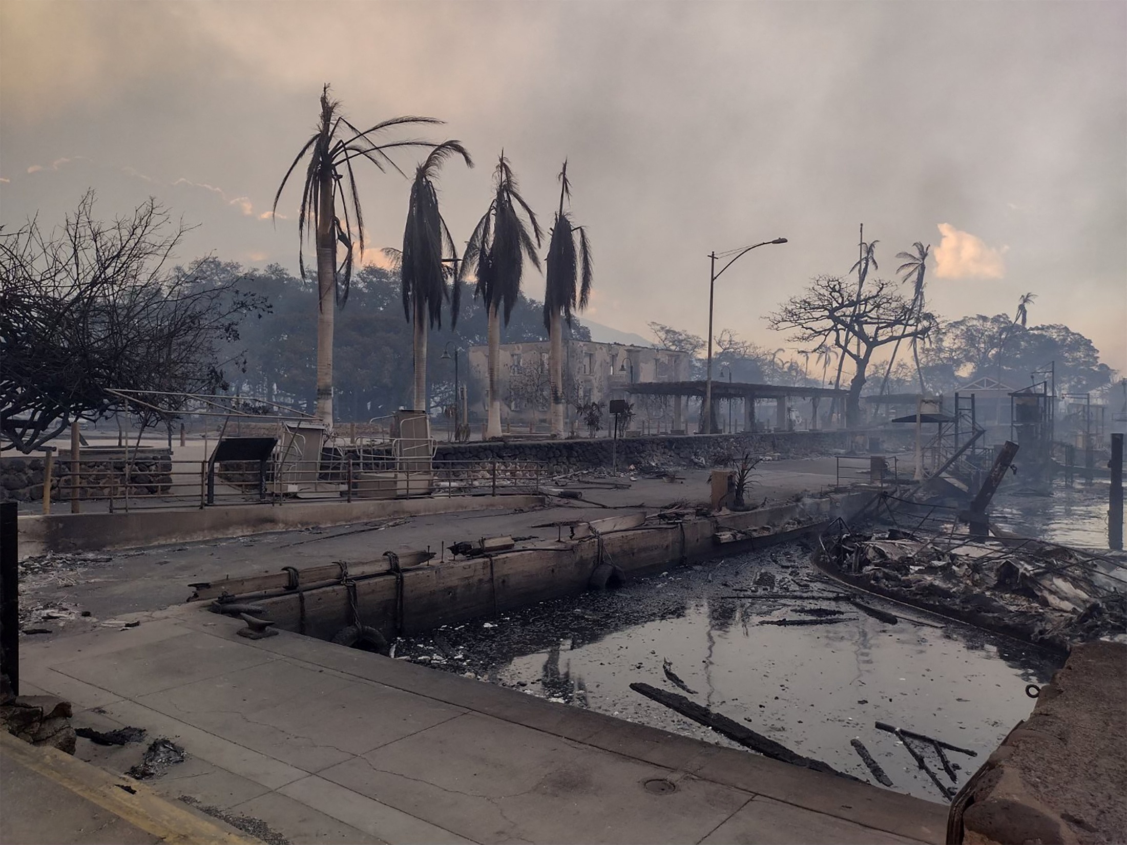A charred boat lies in the scorched waterfront after wildfires