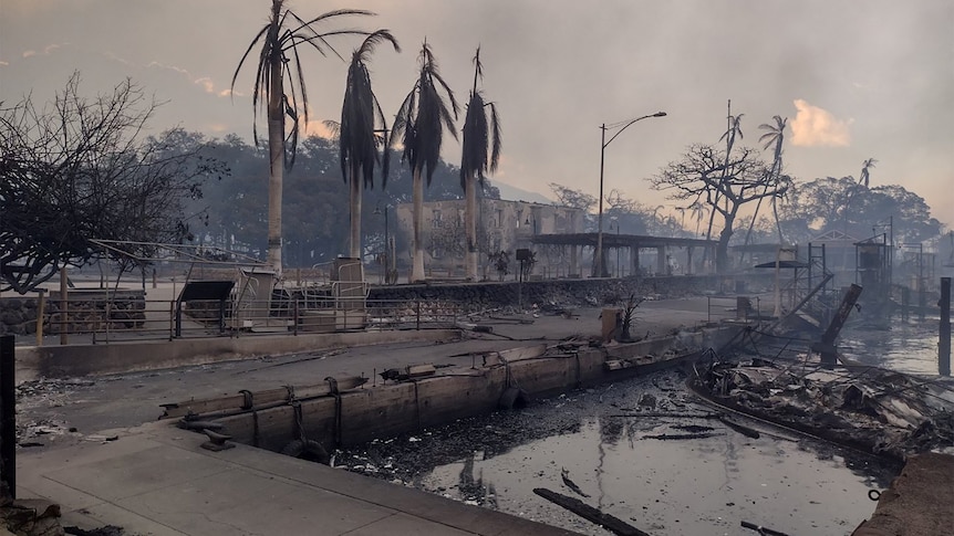 A charred boat lies in the scorched waterfront after wildfires